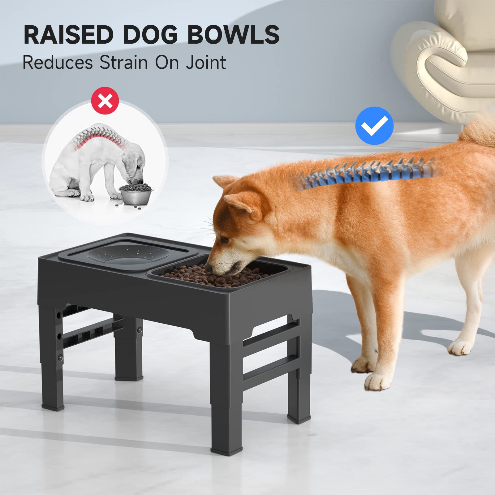 Petopvilla™ Elevated Dog Bowls Spill-Proof Dog Bowl
