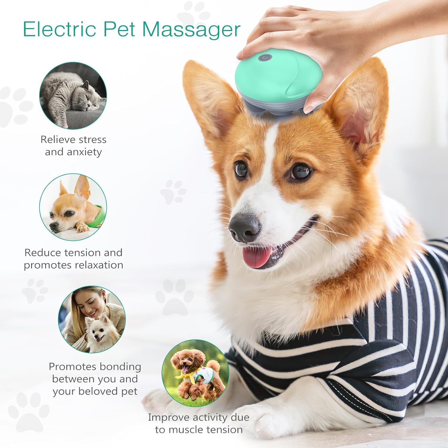 ORIA Upgraded Handheld Pet Massage for Dog and Cat, Electric Cat Massager Dog Massager, with 4 Rotatable Massage Heads